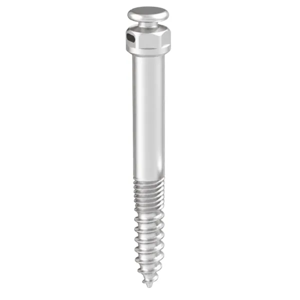 Mini-Implante Extra Alveolar HS FR