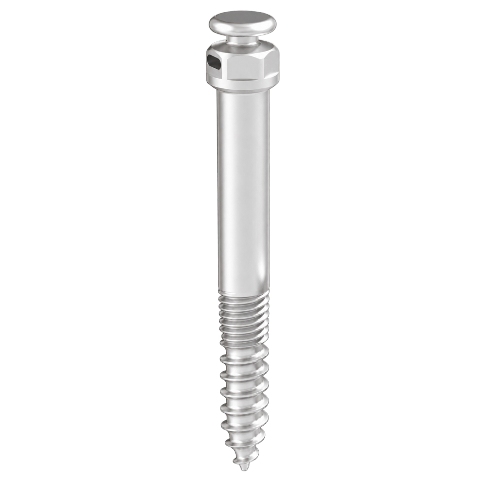 Mini-Implante Extra Alveolar S FR