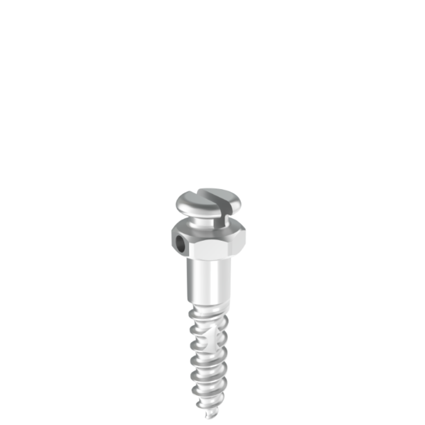 Mini-implante Interradicular S Bracket