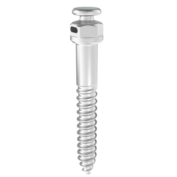 Mini-Implante Extra Alveolar S FR